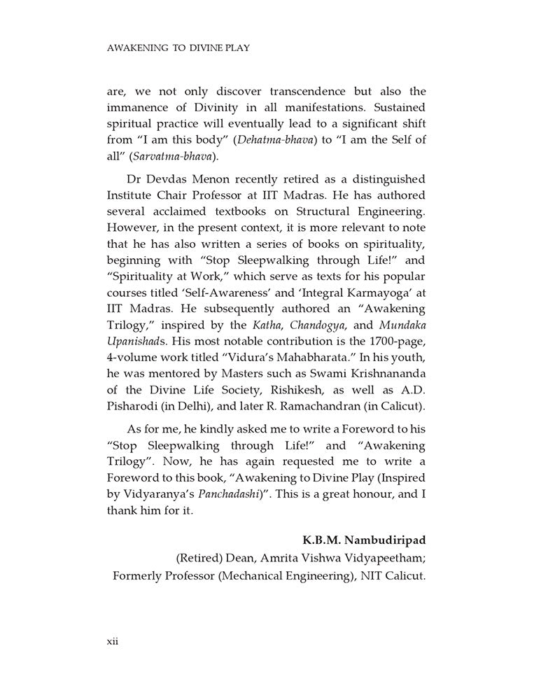 Awakening to Divine Play: Inspired by Vidyaranya’s 'Panchadashi'