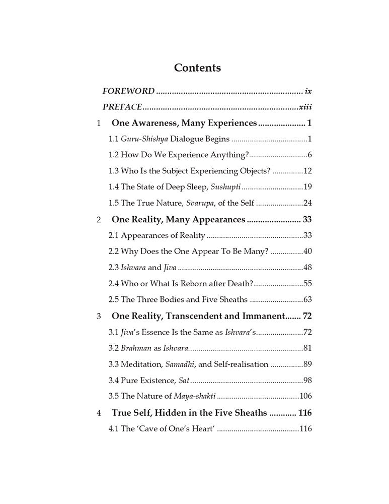 Awakening to Divine Play: Inspired by Vidyaranya’s 'Panchadashi'