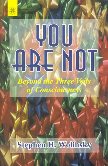 You Are Not: Beyond the Three Veils of Consciousness