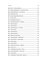 New Analytical Ayurveda (Revised & Updated Edition)