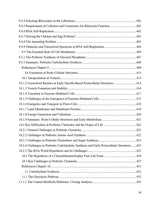 Unraveling the Theistic Worldview: Navigating Life’s Deepest Questions