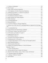 Unraveling the Theistic Worldview: Navigating Life’s Deepest Questions