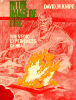 In the Image of Fire: The Vedic Experience of Heat