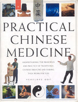 Practical Chinese Medicine: Understanding the Principles and Practice of Traditional